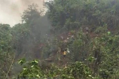 Ảnh minh họa. (Nguồn: Vietnam+)