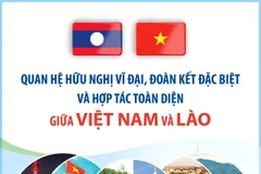 Quan hệ hữu nghị vĩ đại, đoàn kết đặc biệt và hợp tác toàn diện Việt Nam-Lào 