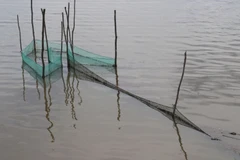 Công cụ đánh bắt cá đồng bằng 'dớn' ở Đồng Tháp. (Ảnh: Nguyễn Văn Trí/TTXVN)