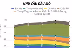 IEA: Nhu cầu nhiên liệu hóa thạch đạt đỉnh trong thập kỷ này