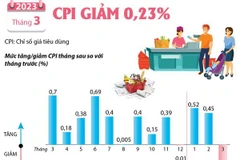 [Infographics] Chỉ số giá tiêu dùng tháng 3 năm 2023 giảm 0,23%