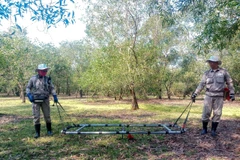 Lực lượng của Dự án NPA/RENEW rà phá bom mìn tại thôn An Mỹ, xã Gio Mỹ, huyện Gio Linh, tỉnh Quảng Trị. (Ảnh: TTXVN phát)