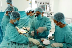 Ảnh chỉ có tính minh họa. (Ảnh: Dương Ngoc/TTXVN)