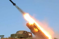 Ảnh minh họa. (Nguồn: NYP)