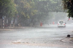 Ảnh chỉ có tính minh họa. (Ảnh: Trần Lê Lâm/TTXVN)