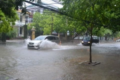 Tuyến phố Trần Hưng Đạo, thành phố Thái Bình ngập sâu trong nước. (Ảnh: Thu Hoài/TTXVN)