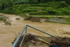 Ảnh minh họa. (Ảnh: TTXVN phát)