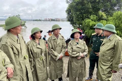 Các đồng chí Thường trực Thành ủy Hà Nội kiểm tra công tác phòng chống lũ tại xã Nam Phương Tiến, huyện Quốc Oai. (Ảnh: Nguyễn Văn Cảnh/TTXVN)