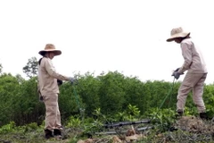 Nhân viên Tổ chức MAG dùng phương tiện, máy móc rà phá, xử lý bom mìn sau chiến tranh tại các địa phương trong tỉnh Quảng Bình. (Ảnh: TTXVN phát)