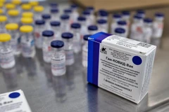 Vắcxin Sputnik V phòng COVID-19 của Nga. (Ảnh: THX/TTXVN)