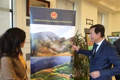 Các đại biểu tham quan triển lãm ảnh. (Ảnh: Anh Tuấn/TTXVN)