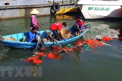 Rác thải khó phân hủy ken dày trên bãi biển Đông Hải, thành phố Phan Rang-Tháp Chàm. (Ảnh: Nguyễn Thành/TTXVN)