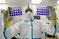 Nghiên cứu và sản xuất vắcxin phòng COVID-19 tại phòng thí nghiệm của công ty Valneva. (Ảnh: AFP/TTXVN)