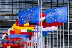 Ảnh minh họa. (Nguồn: Getty Images)