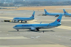 Máy bay của Hãng hàng không Hàn Quốc Korean Air tại sân bay Gimpo ở Seoul. (Ảnh: AFP/TTXVN)