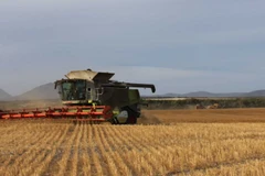 Xuất khẩu nông sản của Australia thiệt hại 2,45 tỷ USD do căng thẳng thương mại với Trung Quốc. (Nguồn: abc.net.au)