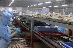 Chế biến cá hộp xuất khẩu tại Khu công nghiệp Cảng cá Tắc Cậu, xã Bình An, huyện Châu Thành (Kiên Giang). (Ảnh: Lê Huy Hải/TTXVN)