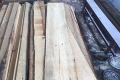 Tang vật được giữ tại Hạt kiểm lâm Đà Lạt. (Ảnh: TTXVN phát)