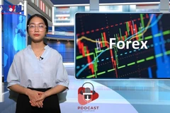 [Audio] Nhiều người khóc ròng vì vỡ mộng với sàn ngoại hối ảo