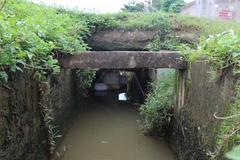 (Ảnh minh họa: Xuân Tiến/TTXVN)