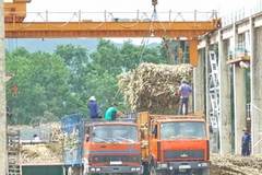 Mía đường Lam Sơn tìm hiểu mở rộng thị trường tại Đức