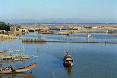 Thành lập 11 khu bảo vệ thủy sản trên đầm phá Tam Giang