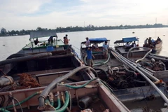 Ảnh chỉ có tính minh họa. (Ảnh: Trần Thị Thu Hiền/TTXVN)