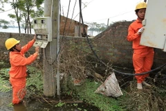 Công nhân Tổng Công ty Điện lực Hà Nội kiểm tra an toàn thiết bị điện tại xã Nam Phương Tiến huyện Chương Mỹ, Hà Nội. (Ảnh: Ngọc Hà/TTXVN)