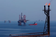 Các giàn khoan trên mỏ Bạch Hổ. (Ảnh: Huy Hùng/TTXVN)