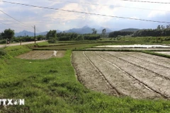 Khu vực được Ủy ban Nhân dân xã Tịnh Đông, huyện Sơn Tịnh, tỉnh Quảng Ngãi thông báo xây dựng Khu dân cư Đồng Cây Quen. (Ảnh: Đinh Hương/TTXVN)