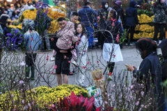 Chợ hoa Quảng An vừa là nơi mua sắm vừa là nơi đi chơi ngắm hoa ngày Tết của người dân Hà Nội. (Ảnh: Tuấn Anh/TTXVN)