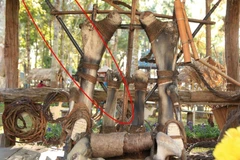 Hiện vật lao thú kim loại tại khu vực nhà Voi bị mất (khoanh đỏ) thuộc khu trưng bày Thiên đường Tây Nguyên-Gia Lai. (Ảnh: TTXVN phát)