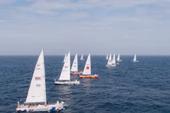 Những đội thuyền buồm đầu tiên dự Giải Clipper Race cập Cảng tàu khách quốc tế Hạ Long tháng 2/2024. (Ảnh: TTXVN phát)