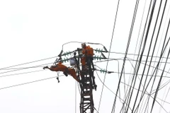Các công nhân ngành điện nỗ lực hết mình để khắc phục sự cố lưới điện do bão số 3 gây ra. (Ảnh: Huy Hùng/ TTXVN)