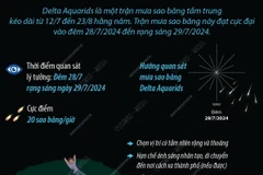 Mưa sao băng Delta Aquarids 