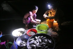 Mua bán cá đồng ở "chợ ma" Tha La. (Ảnh: Công Mạo/ TTXVN)