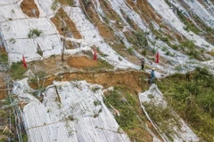 Khu vực đỉnh đồi Lủ Thao (Hòa Bình) có nhiều vết nứt liên tiếp, hình thành các cung trượt chiều dài khoảng 100m, độ sâu khoảng 3m, chiều rộng khoảng 40-60 cm. (Ảnh: Trọng Đạt/TTXVN)