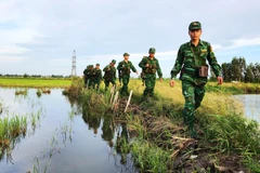 Cán bộ chiến sỹ Đồn Biên phòng Vĩnh Nguơn (An Giang) tuần tra, kiểm soát biên giới. (Ảnh: Công Mạo/TTXVN)