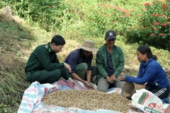 Thượng tá Trần Xuân Hiểu, Phó Bí thư tăng cường xã Nậm Cắn, huyện Kỳ Sơn, tỉnh Nghệ An hướng dẫn người dân phát triển kinh tế. (Ảnh: Văn Tý/TTXVN)