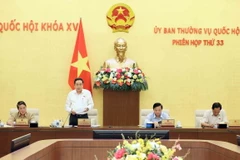 Phó Chủ tịch Thường trực điều hành Quốc hội Trần Thanh Mẫn chủ trì phiên họp. (Ảnh: An Đăng/TTXVN)