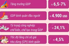 Các chỉ tiêu chủ yếu phát triển kinh tế-xã hội năm 2025 