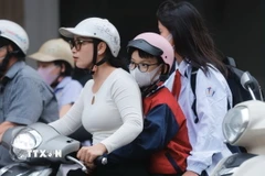 Ảnh minh họa. (Nguồn: TTXVN)