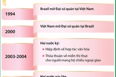 Tổng quan về quan hệ Đối tác chiến lược giữa Việt Nam và Brazil 