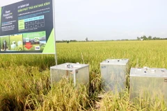 Thiết bị đo lượng phát thải khí nhà kính được triển khai tại mô hình canh tác lúa hữu cơ ở Cần Thơ. (Ảnh: Thu Hiền/TTXVN)