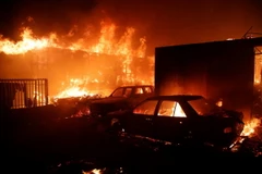 Nhà cửa và xe cộ bị thiêu rụi do cháy rừng tại Vina del Mar, Chile ngày 2/2/2024. (Ảnh: AFP/TTXVN)