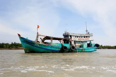 Tàu đánh bắt xa bờ trên vùng biển huyện Ngọc Hiển, tỉnh Cà Mau. (Ảnh: Hồng Đạt/ TTXVN)