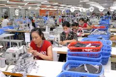 Dây chuyền sản xuất hàng may mặc xuất khẩu của Công TNHH Thời trang STAR, vốn đầu tư của Singapore, tại Khu công nghiệp Phú Nghĩa (huyện Chương Mỹ, Hà Nội). (Ảnh: Danh Lam/TTXVN)