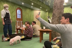 Tiệm càphê Mipig. (Nguồn: Timeout)