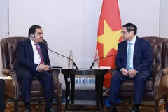 Thủ tướng Phạm Minh Chính tiếp ông Gautam Adani, Chủ tịch Tập đoàn Adani (Ấn Độ). (Ảnh: Dương Giang/TTXVN)