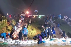 Xã Sông Lô, thành phố Việt Trì (Phú Thọ) huy động tối đa lực lượng tại chỗ xử lý dứt điểm mạch sủi, không để rò rỉ nhằm hạn chế thấp nhất rủi do gây ra. (Ảnh: Tạ Toàn/ TTXVN)